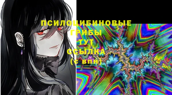 2c-b Верхнеуральск