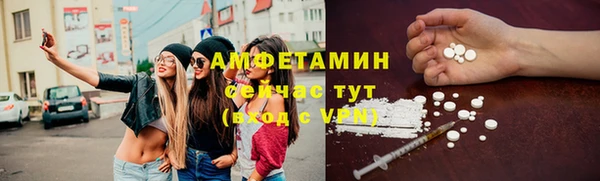 прущие крисы Бородино