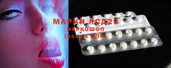 прущие крисы Бородино