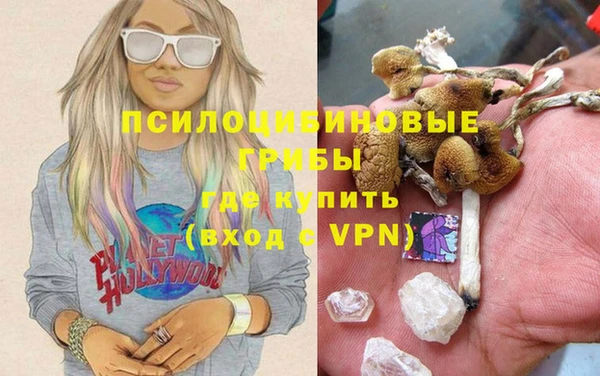 прущие крисы Бородино