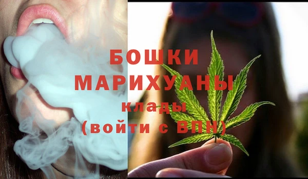 прущие крисы Бородино