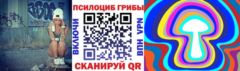 Купить где  Пересвет  Псилоцибиновые грибы мицелий 