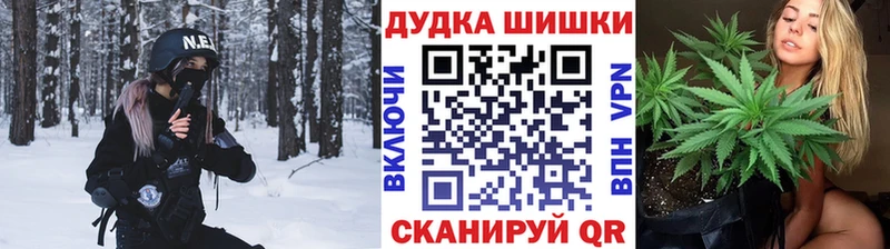 Бошки Шишки THC 21%  Купить закладки  Пересвет 